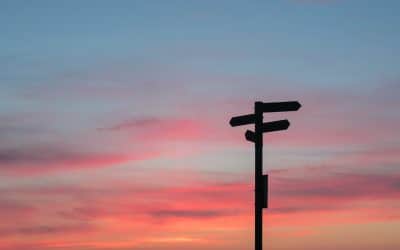 How I anguished over starting a daily blog