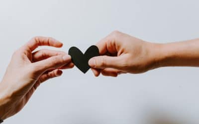 The Daily PPILL #9 – Connection