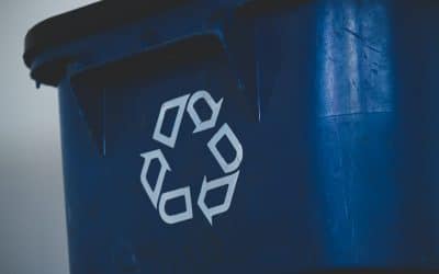 Repurposing – The system behind a daily blog – The Daily PPILL #22
