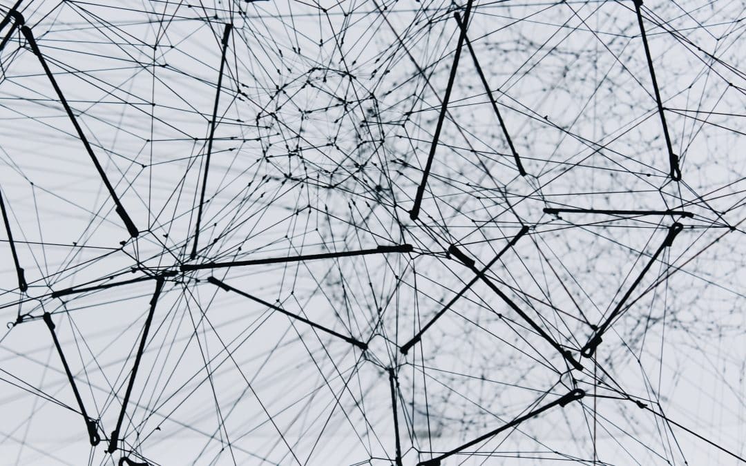 The Network Effect – The Daily PPILL #124
