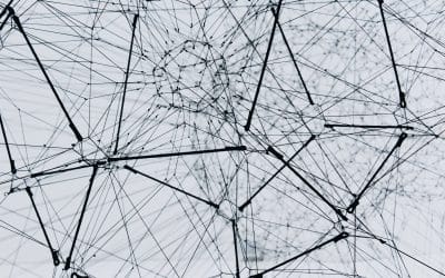 The Network Effect – The Daily PPILL #124