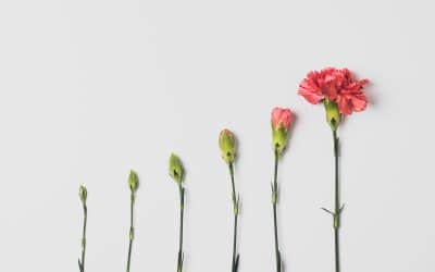 Scaling – The Daily PPILL # 136