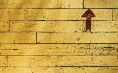 Saving the world, one email at a time (Repost) – The Daily PPILL #366
