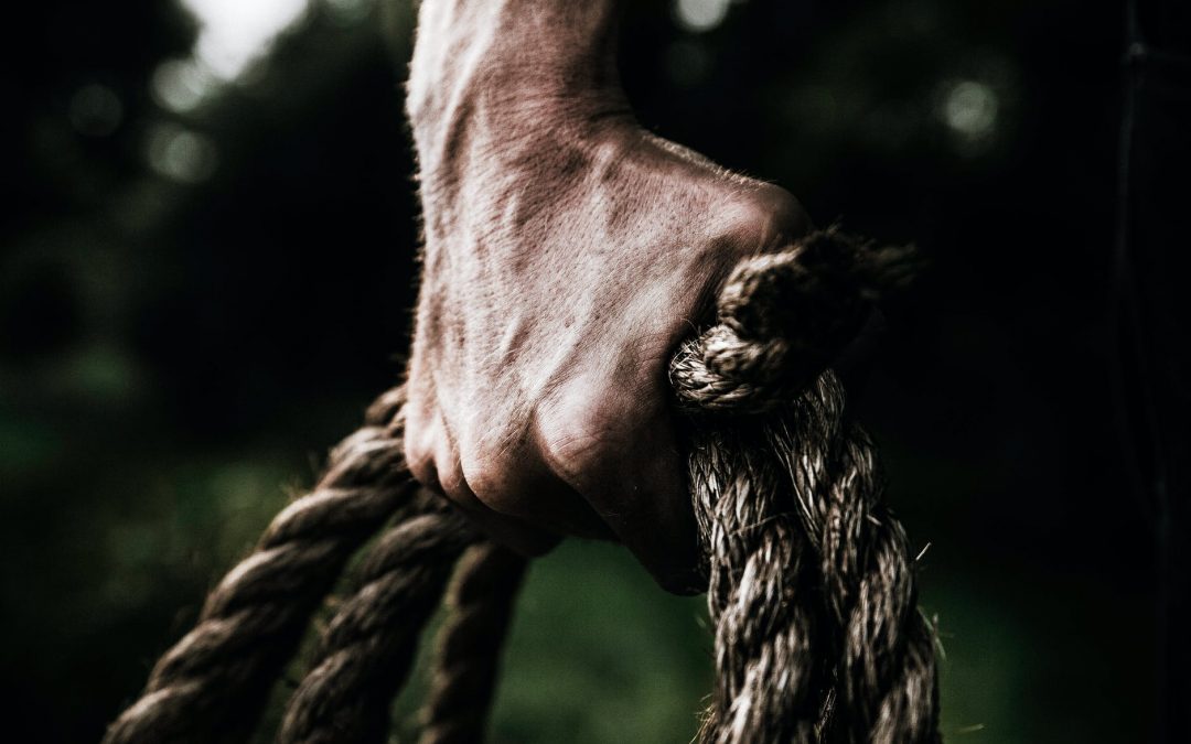 Play to the strengths – The Daily PPILL #79