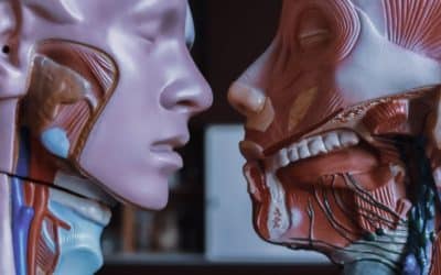 Antibodies reject the organ – The Daily PPILL #118
