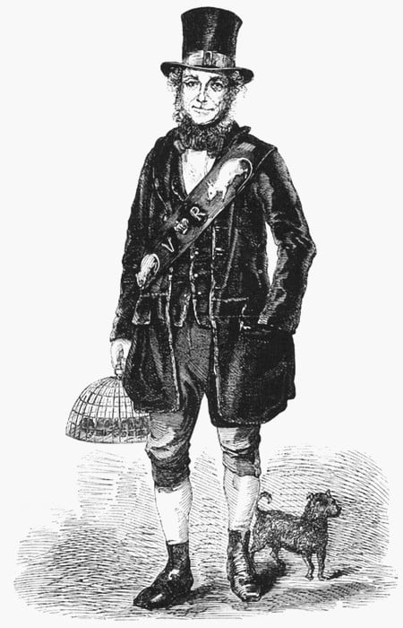 The rat catcher – The Daily PPILL #123