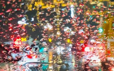 Between South Florida and Seattle – The Daily PPILL #125