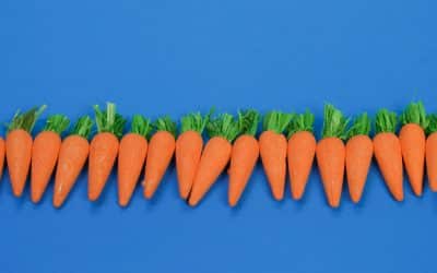 How the perspective of something terrible can make us embrace good deeds – The Daily PPILL #126