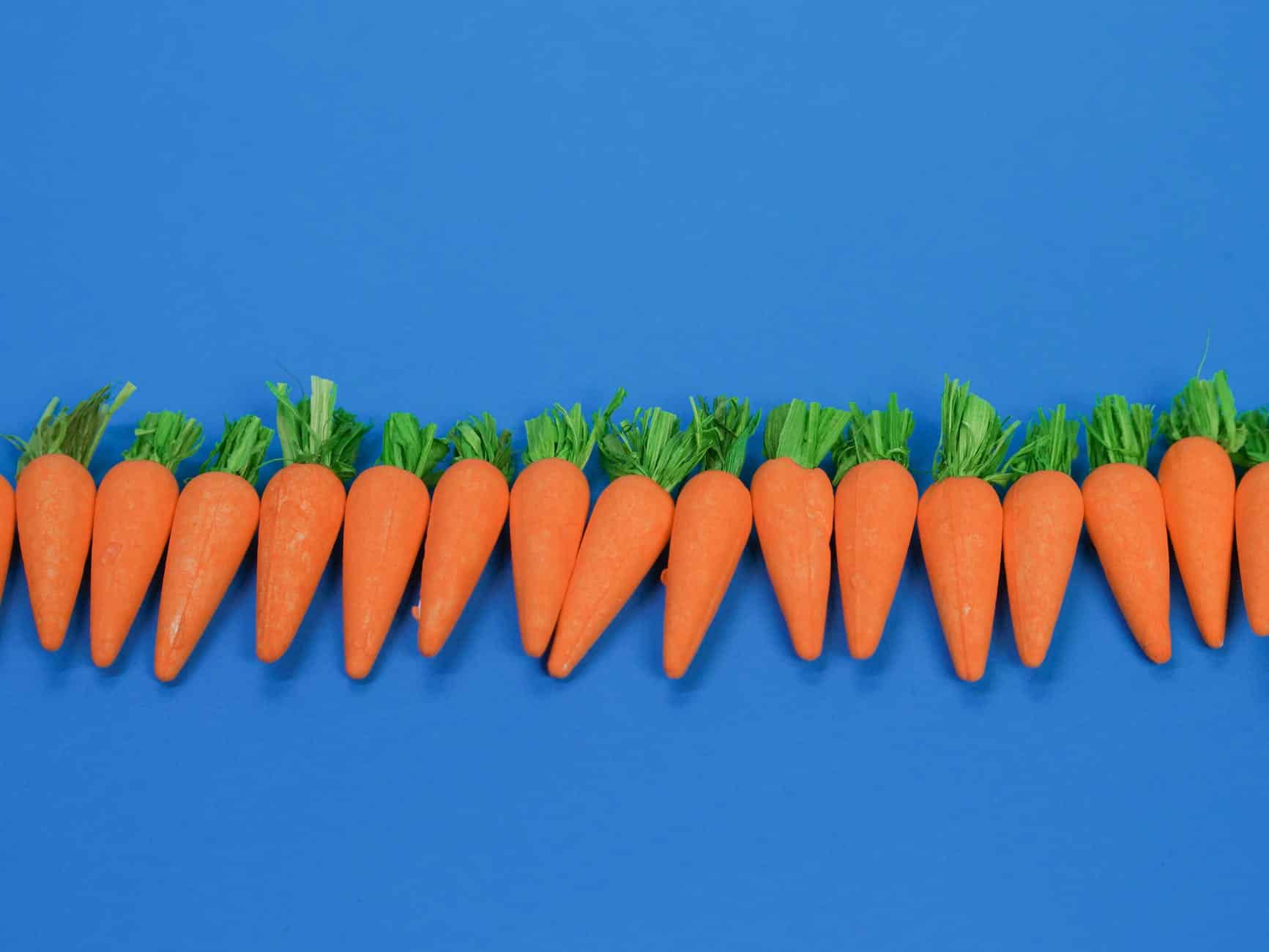 carrots lined up on a blue surface