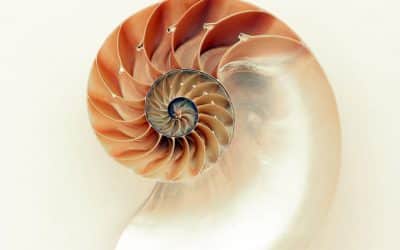 A riddle of smartness – The Daily PPILL #150