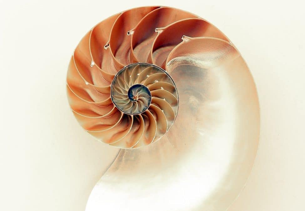 A riddle of smartness – The Daily PPILL #150