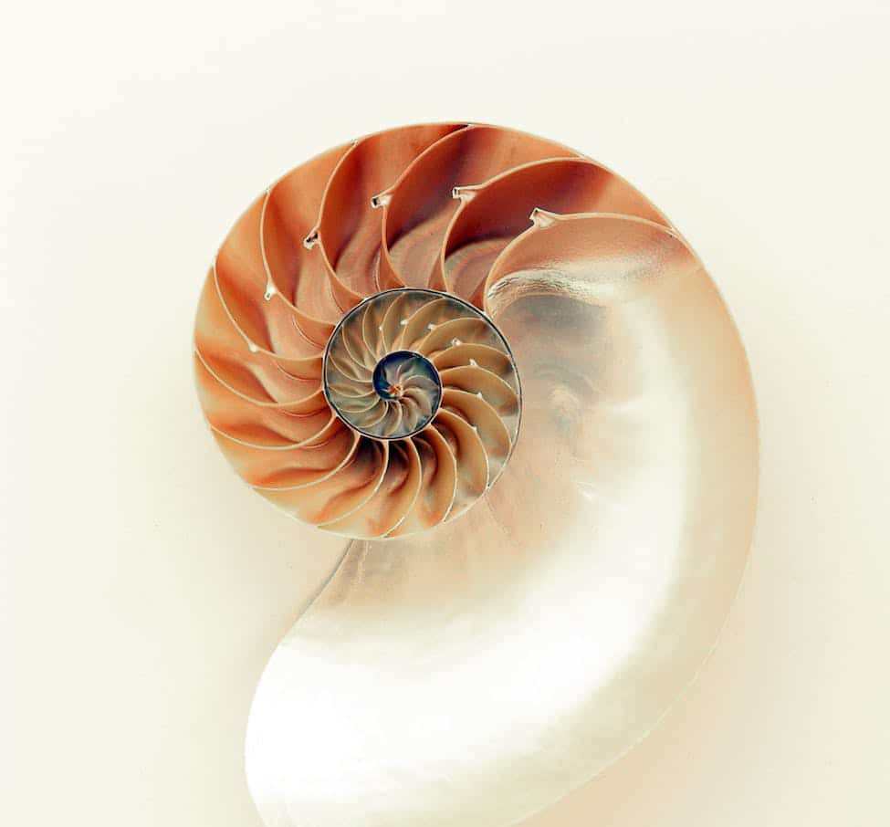 A riddle of smartness – The Daily PPILL #150