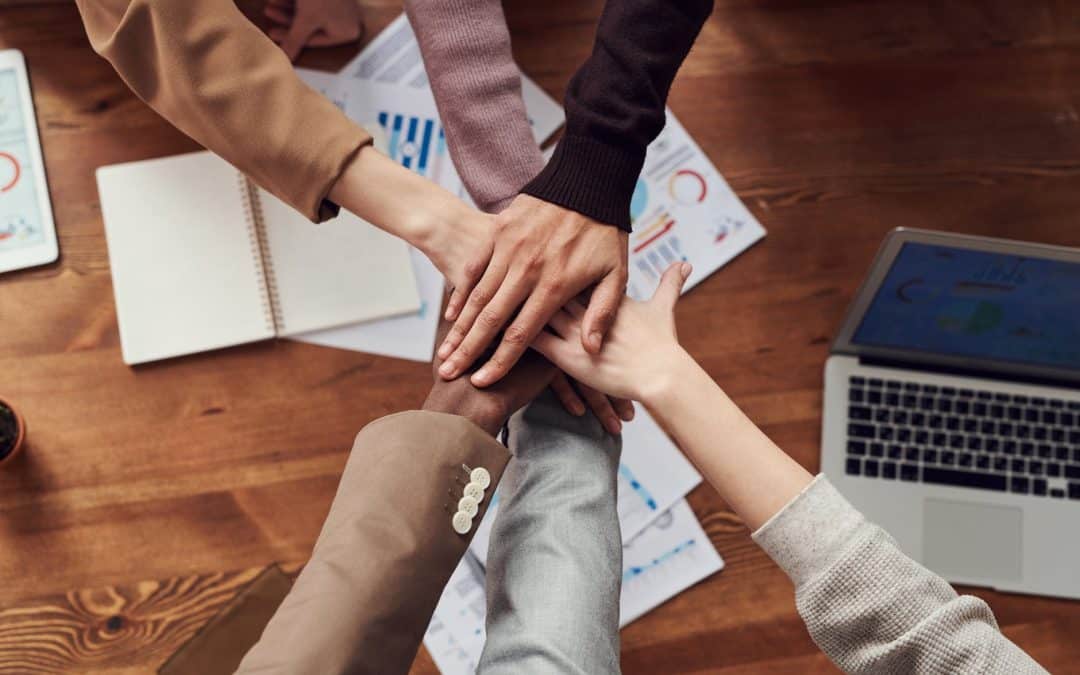 Re-post: Partner Programs as an extension of the Operating Model – The Daily PPILL #309